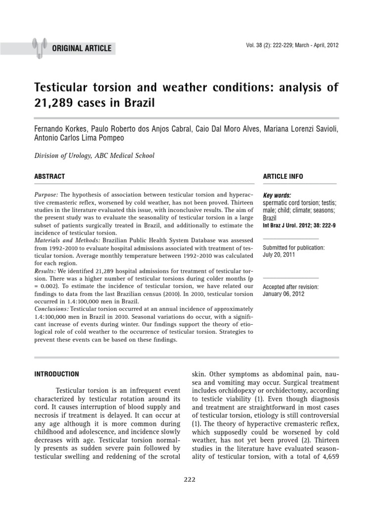 Testicular torsion essay 07 image