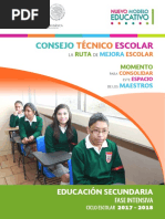 Faseintensivacte2017 2018 Secundaria