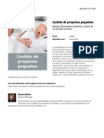 gestion_de_proyectos_pequenos.pdf