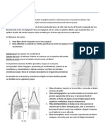 Periodoncia