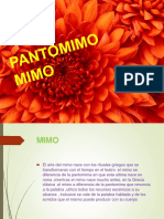 PANTOMIMO-MIMO1 (5 U)