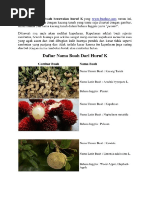 Daftar Nama Buah Dari Huruf K Pdf