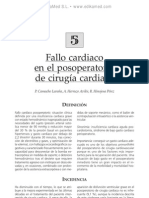 Fallo cardiaco en el posoperatorio de cirugi¦üa cardiaca