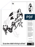 Complete and Colour The Banjo Frog.: Can You Draw A Habitat For This Frog To Call Home?