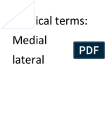 Medical Terms: Medial Lateral