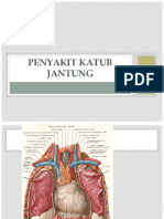 Penyakit Katub Jantung