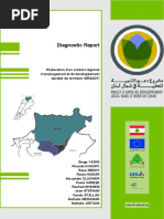 Diagnostic Report 20140423 Final-low2