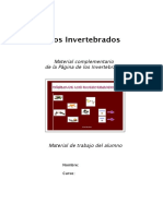 materialclaseinvertebrados.pdf