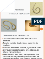 Nematodos PDF