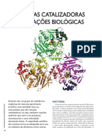 Enzimas Catalisadoras de Reações Biológicas