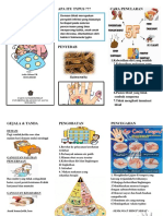 Leaflet Penyuluhan - Demam Thypoid