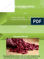 Biji Kacang Merah