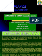 Proyecto Cuyes I