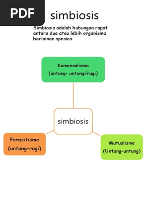 Yalangoch qizlar va ularning slayd-shoulari