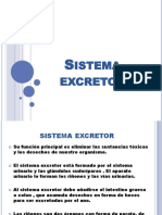 Sistema Excretor