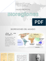 Bio Region Es