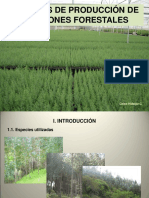 Producción de Plantones en Perú