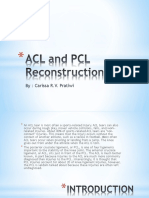 Understanding ACL and PCL Injuries and Treatments