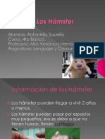 Antonella Squella - Los Hamsters