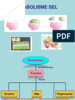 Bio Metabolisme Enzim