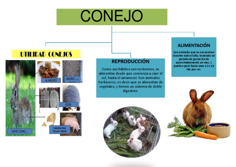 cosa fare in florida