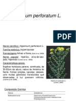 Hypericum Perforatum Farmacognosia