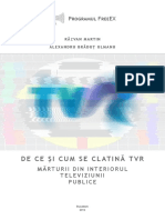 Raport - De Ce Si Cum Se Clatina TVR