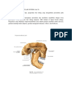 Articular Respiratory