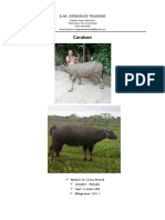 Picture Carabao