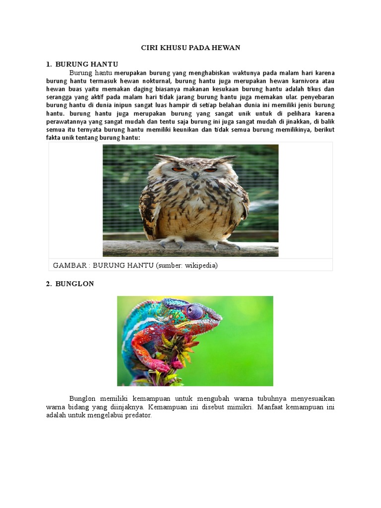 Ciri Khusus Pada Hewan PDF