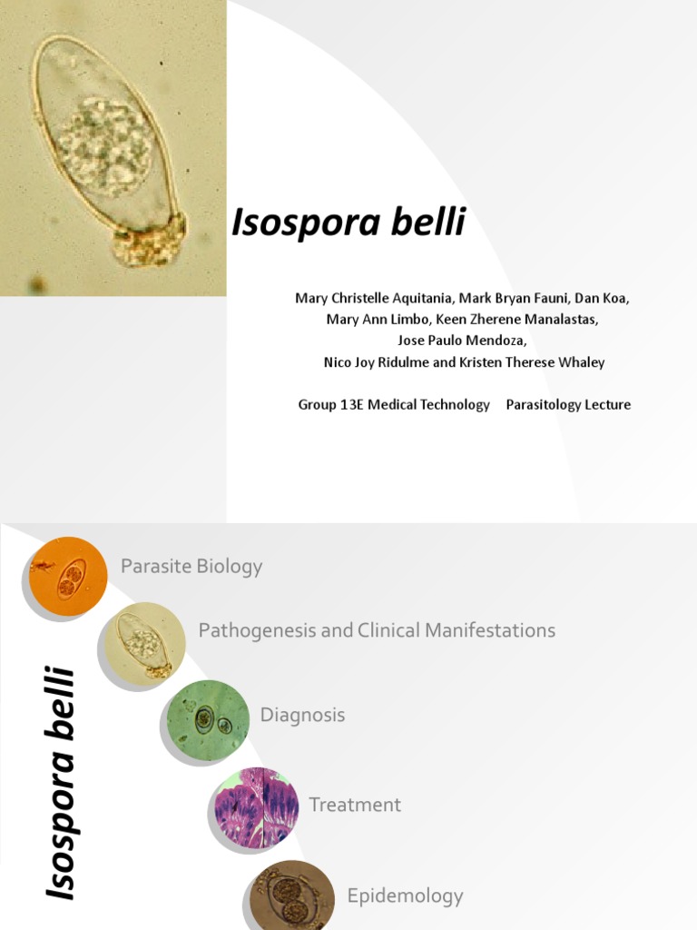 Isospora Belli Clinical Medicine Epidemiology