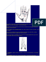 Quiologia Nilton Schutz.pdf