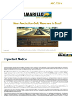 Amarillo Gold Corporation