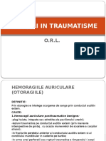 Ingrijiri in Traumatisme O.R.L