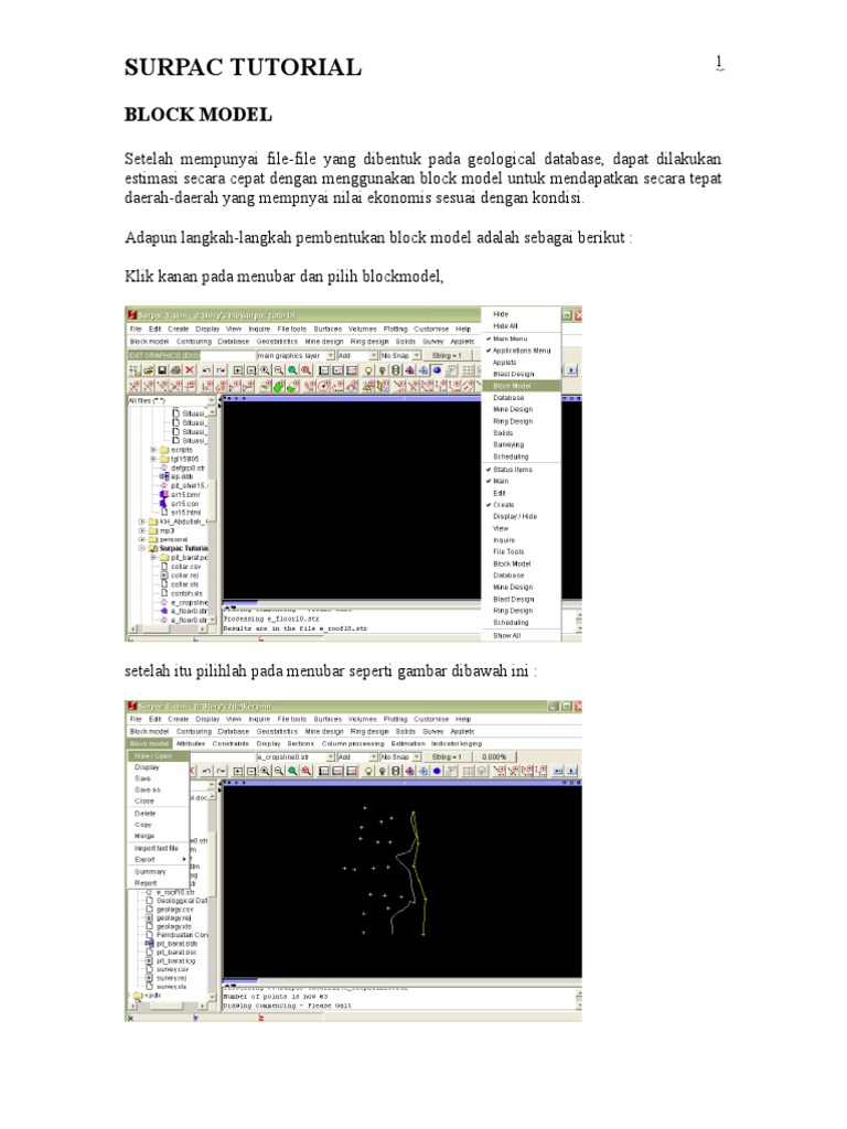 Surpac Block Model | PDF