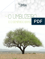 Umbuzeirolivro FINAL PDF