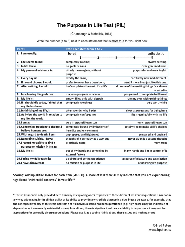 The_Purpose_in_Life_Test.pdf Meaning Of Life Validity (Statistics)