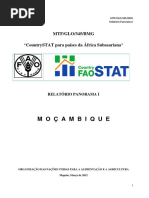 Relatorio Panorama i - Mocambique