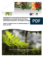 Informacion Tecnologica No Maderero Del Bosque Nativo de Chile (Quillay) PDF