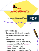 Leptospirosis I