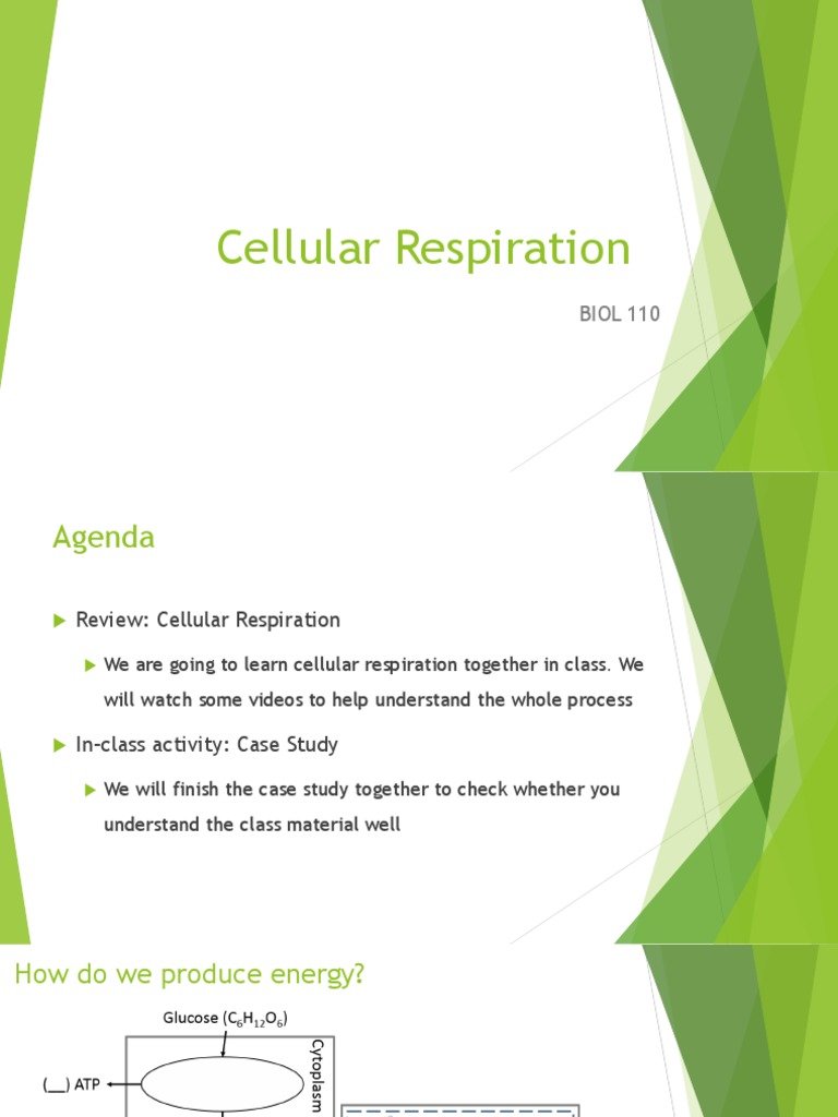 Cellular Respiration Class Guide | PDF | Cellular Respiration | Citric ...