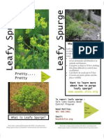 Utah Leafy Spurge Mailer 
