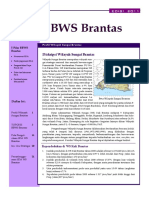 Bws Brantas PDF