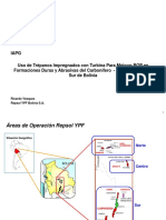 9.00TrepanosimpregnadosyturbinasIAPG.ppt