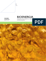 Bioenergia-DIGITAL.pdf