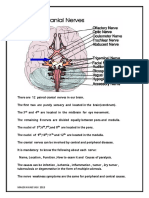 Cranial nervesexaminationanddisorders 