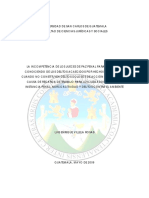 Tesis Leyes Especiales PDF