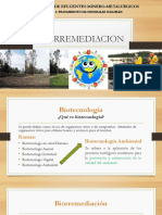 BIORREMEDIACION.pptx