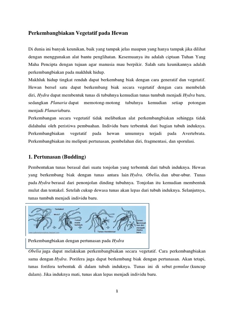 1020+ Gambar Perkembangbiakan Vegetatif Pada Hewan Terbaik