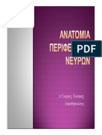 2010roussakis Anatomia Periferikon Nevron PDF